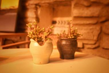 Dali Ancient Town Wangshuyue Guesthouse