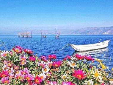 Green Tree Inn Dali Erhai City Centre