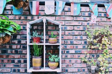 Chengdu Dreams Travel International Youth Hostel