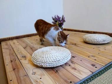 Loving Chengdu Youth Hostel