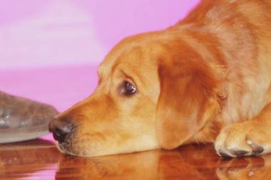 Aloft Beijing Haidian