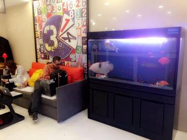 Pai Hotel Beijing Wangjing