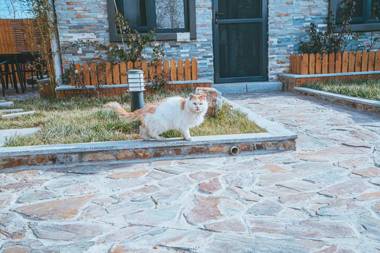 Hidden in the World (Winter Olympic Town) - Crabapple 3 Courtyard