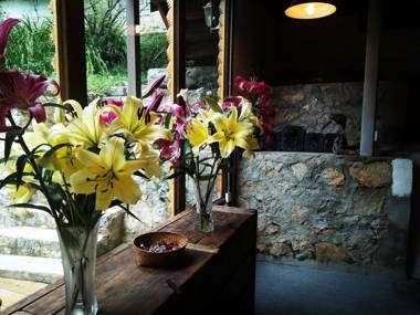 Shangri-La mid - mountain homestay