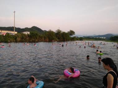 Koala International Youth Hostel