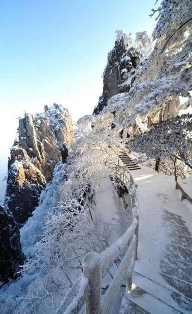 Xishan Wutong Qinyuan (Free Pick up Service)