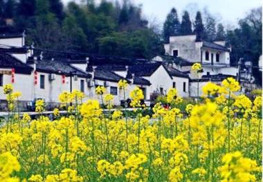 Xishan Wutong Qinyuan (Free Pick up Service)