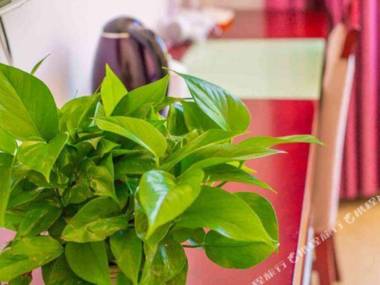 Huang Shan Xiang Li Qin Jing Pin Inn