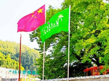 Vatica Huangshan Scenic Area Tangkou Town South Ga