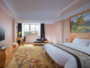 Vienna Hotel(Yangchun International Shop )