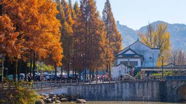 Floral Hotel Jiuhua Mountain Vigorous Bamboo