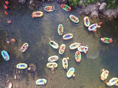 安吉 小森林 Little Forest Anji