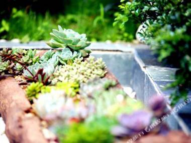 Daliyilanfanghuahotel