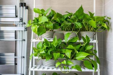 Henan Luoyang·Luo River· Locals Apartment 00137320