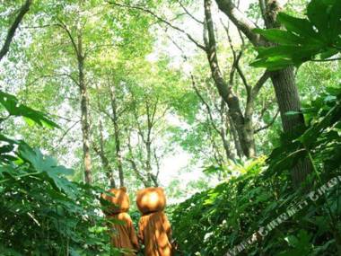 Qianlong Lake Eco-tourism Holiday Hotel