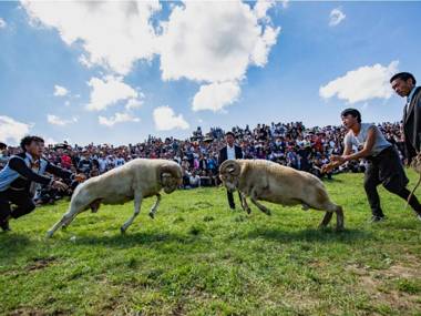 7 Days Premium Zhaotong Zhenxiong Branch
