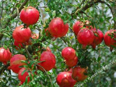 Yanchaoyang Boutique Inn