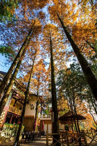 Wuyi Mountain Ancient Street Forest Living England Time Inn