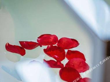 Wu Yi Shan Man Yue Jing Xuan Du Jia Hotel