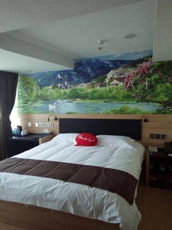 Thank Inn Plus Hotel Shanghai Pudong New District Disneyland