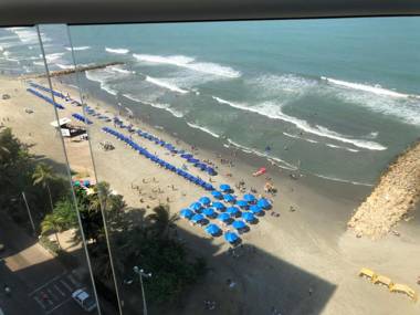 Palmetto Eliptic Bahia