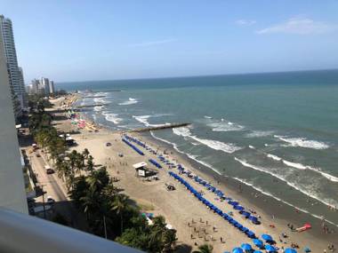 Palmetto Eliptic Bahia