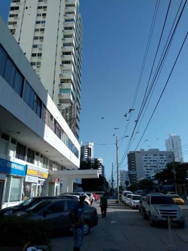 Apt Edificio los Delfines Playa