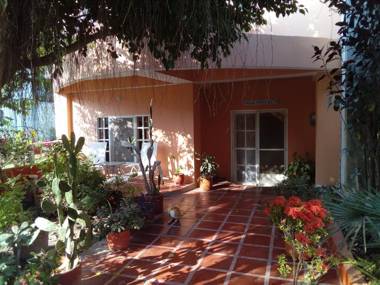 JUNTO AL MAR Y EL MANGLAR