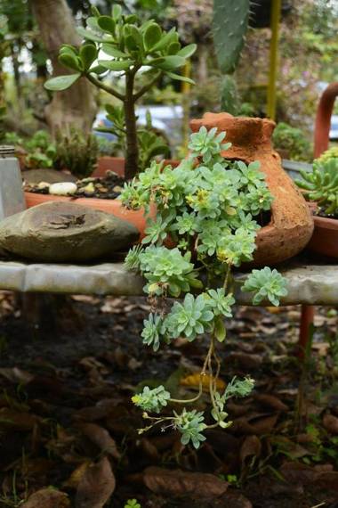 El Hayuelo Eco-lodge Villa de Leyva