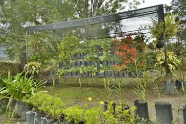 El Hayuelo Eco-lodge Villa de Leyva