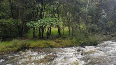 Rancho Nuevo - Finca Farallones