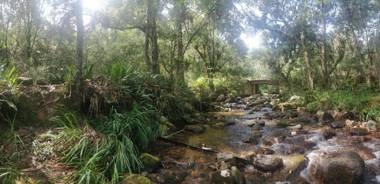 Casa de leña cabaña rural