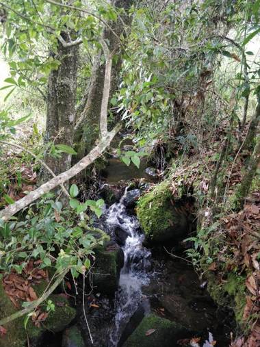 Casa de leña cabaña rural