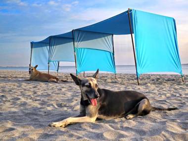 Playa del Ritmo Beach Hostel & Bar