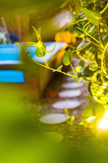 Hostel Boutique Musa Paradisiaca