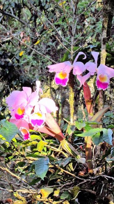 Hotel La Casa de Francois