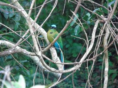 Asgard San Agustin Huila