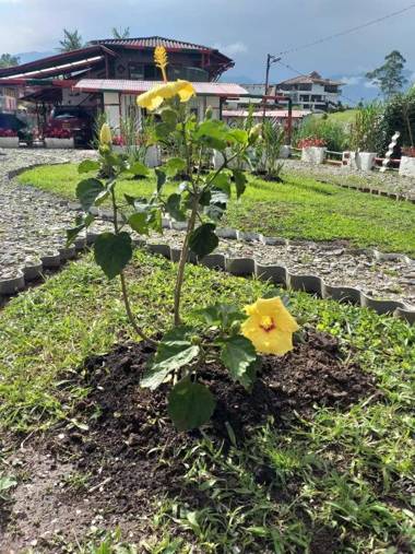 Alojamiento Campestre LA PASTORA