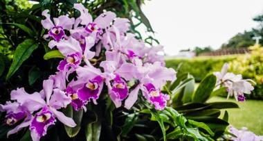 Chalet Villa Alejandra Del Pilar