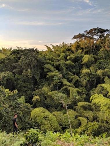 Hotel Boutique La Ceiba