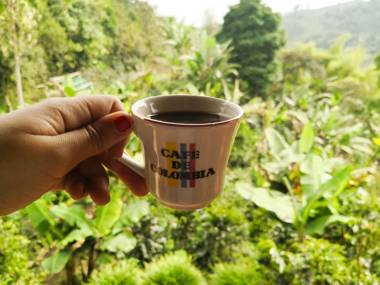 Guaduales del Café-Apartamento turístico