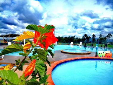 GUADUALES DEL CAFÉ B-409