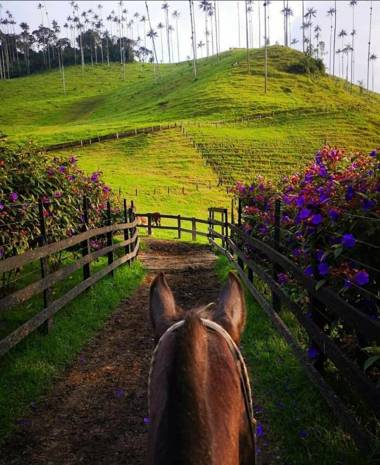 Apartamento Cerca Al Parque Del Cafe