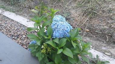 Apartamento - ApartaSuite ARGUS