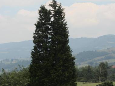 !!A 20 minutos de Paipa!!Finca Colinas y Senderos