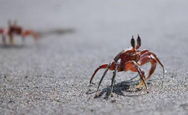 Safio. Una casa en el paraiso.