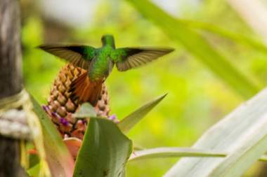 El Vijo Surf Bungalows