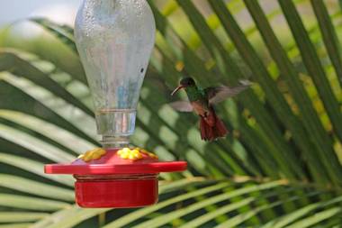 Villa Flor Blanca el Eden