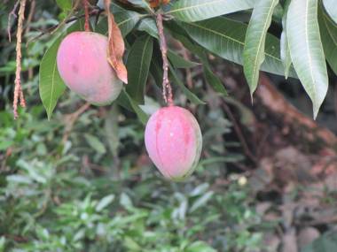 Finca Turística Santa Bárbara