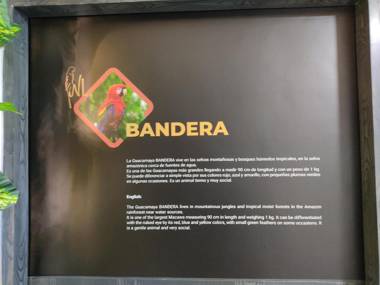 Hostel Boutique Nido de Loros